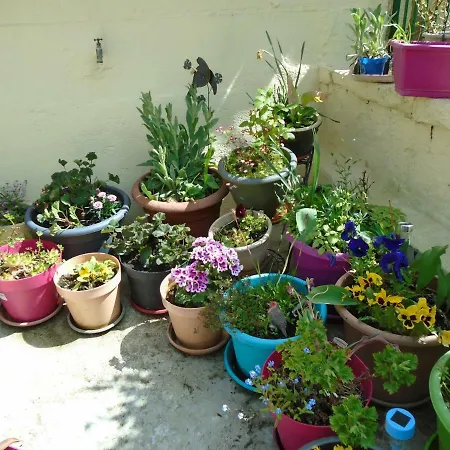 Frühstückspension Joli Jardin D'hotes *